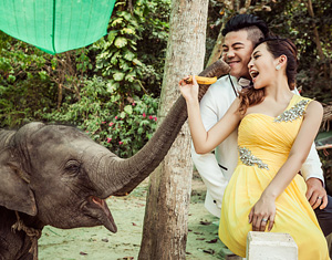 兩人與蘇美小象的互動自然又逗趣